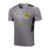 BVB Borussia Dortmund Trainingsshirts Suit 2022-23 Hellgraue Für Herren